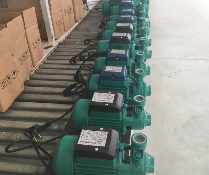 Fuan Zhongzhi Pump Co., Ltd. linha de produção do fabricante