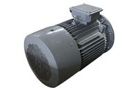 3 Phase 2 Pole Induction Motor Cast Iron Y2-132M1-2 10kw Small Variable Speed