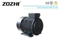 Three Phase 2 Pole 3000Rpm Electric Horizontal Hollow Shaft Motor For Cleaning Machine