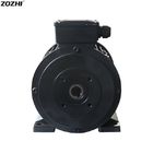 7.5kw 4 Pole 3000rpm Asynchronous Induction Motor IP54/IP55 With Hollow Shaft