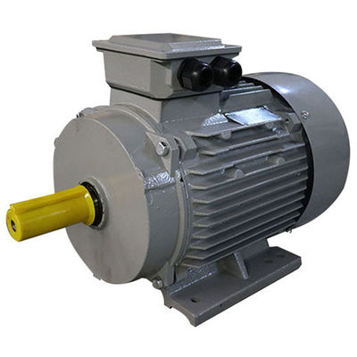 Cast Iron IP54 0.75kw 1Hp Squirrel Cage Electric Motor
