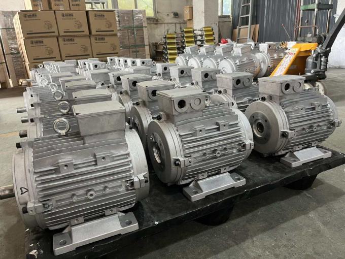 Motor elétrico assíncrono de quatro polos 50Hz 60Hz à prova d'água 0,09kw 0,12Hp 380V 1500RPM trifásico fechado 220V Ac 17