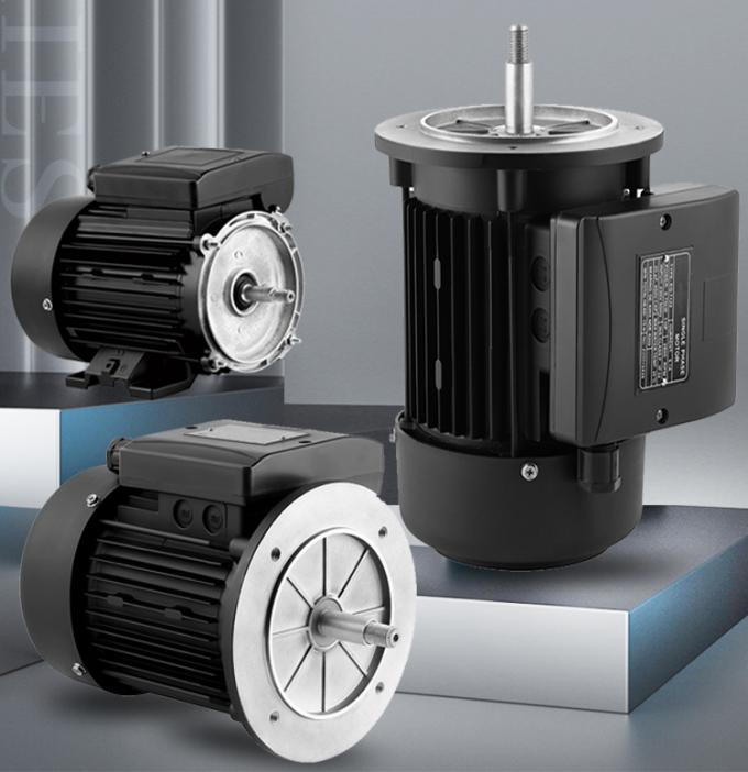 Bomba de piscina 2800rpm Motor ass&iacute;ncrono monof&aacute;sico com carca&ccedil;a de alum&iacute;nio &agrave; prova d'&aacute;gua e frequ&ecirc;ncia de 220V 50Hz 1