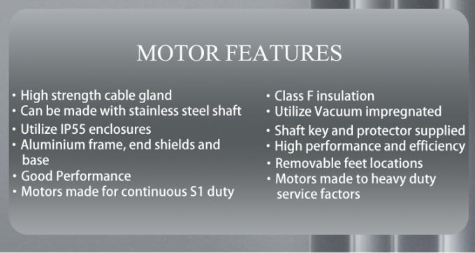 Bomba de piscina 2800rpm Motor ass&iacute;ncrono monof&aacute;sico com carca&ccedil;a de alum&iacute;nio &agrave; prova d'&aacute;gua e frequ&ecirc;ncia de 220V 50Hz 4