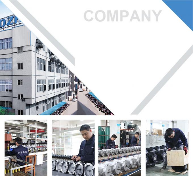 Motor elétrico assíncrono de quatro polos 50Hz 60Hz à prova d'água 0,09kw 0,12Hp 380V 1500RPM trifásico fechado 220V Ac 14