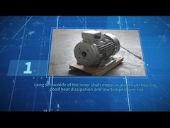 Cor oca do preto do motor do eixo de ZOZHI HS100L3-4 5.5HP/4KW