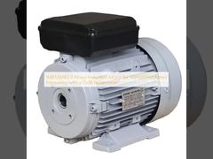 IMB3/IMB5 Motor de indução de 3 fases para frequência nominal de 50Hz/60Hz com nível de ruído ≤ 75dB
