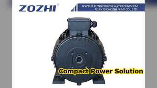 Motor de eixo oco para lavadoras de pressão 5,5kW