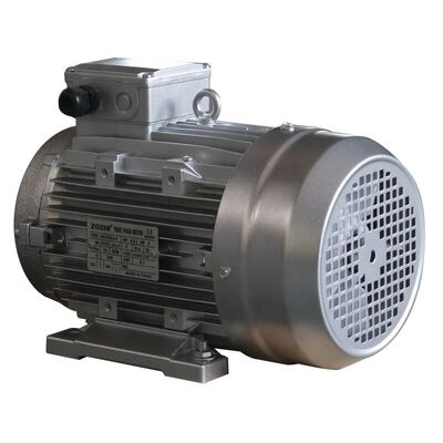  C&U SKF Bearing Hollow Shaft Motor 24mm Shaft and IP54 IP55 Protection Class Ideal for High Washer Machine