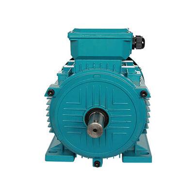High Quality High Efficiency Three-Phase Induction Motor 0.75KW 220V 1400RPM Waterproof IE2 for Household Fan