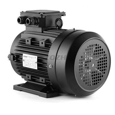 1.1KW 1.5HP 3 Phase Induction Motor IP55 Enclosure Rated Frequency 50Hz 60Hz Electric Motor for Industrial Pumps and Fans