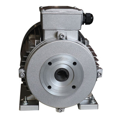 5.5KW Rated Power Hollow Shaft AC Motor Asynchronous Motor Designed to Meet Industrial Standards and Safety Requirements