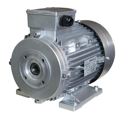 Motor elétrico de eixo oco de três fases de 5,5 kW com velocidade nominal de 1450 rpm para lavadoras de pressão