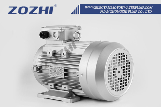 Motor de Eixo Oco de 7KW Com Bomba AR Interpump Para Máquinas de Limpeza Comercial